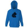 Kids premium hooded sweatshirt Thumbnail